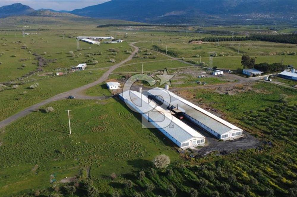 GÜZELHİSARDA 454m2 SATILIK TARLA