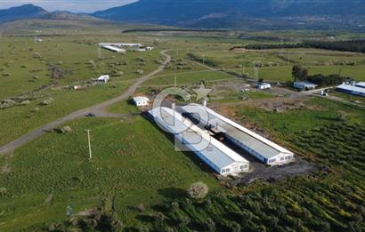 GÜZELHİSARDA 454m2 SATILIK TARLA