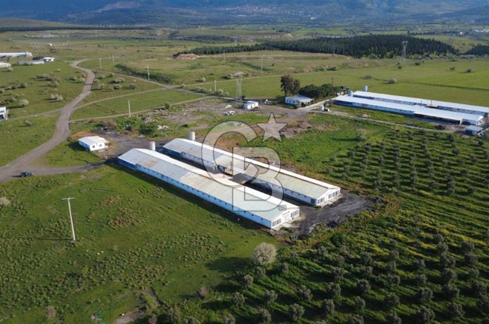 GÜZELHİSARDA 454m2 SATILIK TARLA