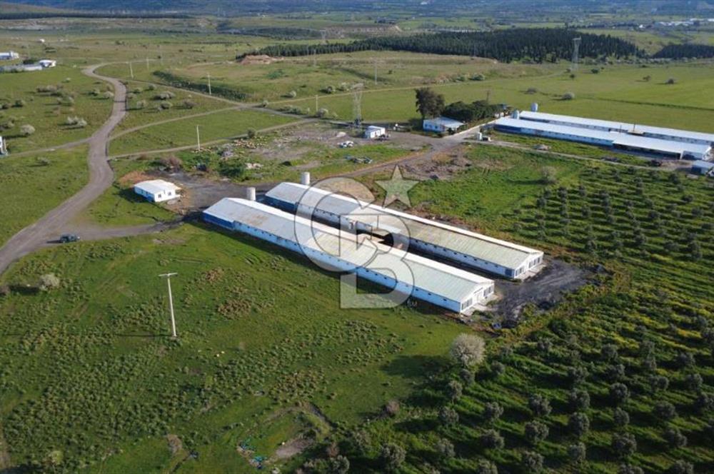 GÜZELHİSARDA 454m2 SATILIK TARLA