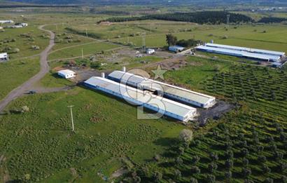 GÜZELHİSARDA 454m2 SATILIK TARLA