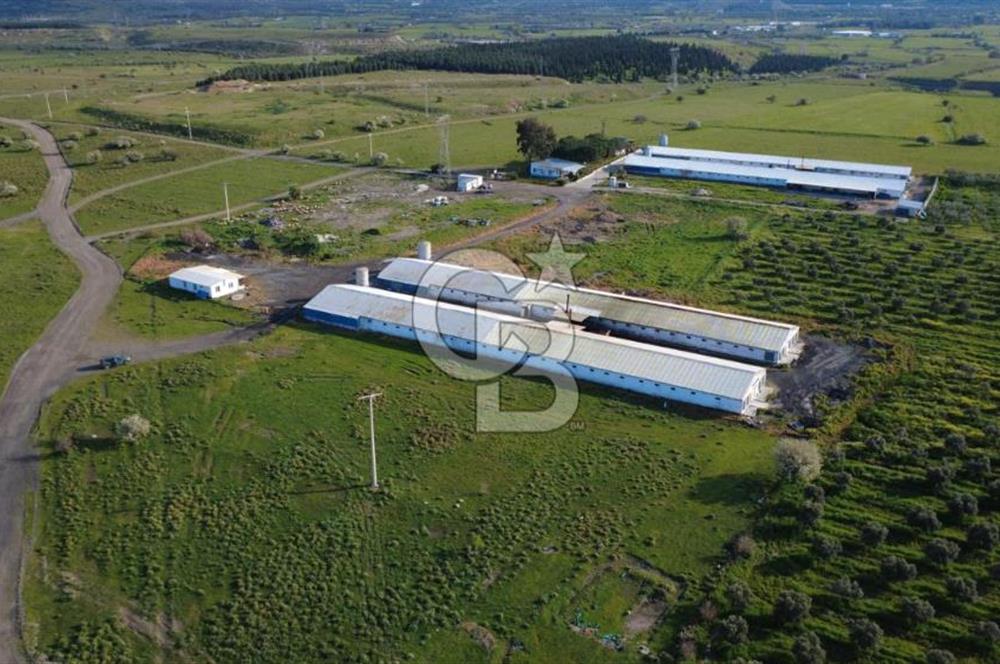 GÜZELHİSARDA 454m2 SATILIK TARLA