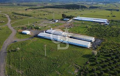 GÜZELHİSARDA 454m2 SATILIK TARLA