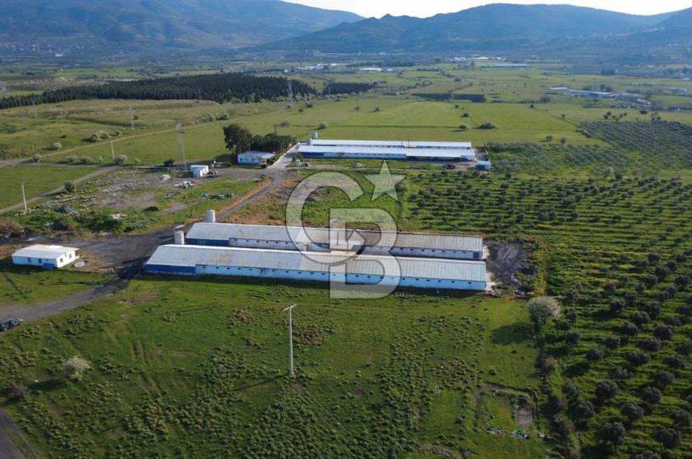 GÜZELHİSARDA 454m2 SATILIK TARLA