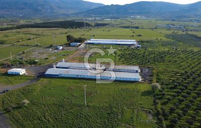 GÜZELHİSARDA 454m2 SATILIK TARLA