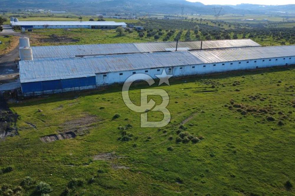 GÜZELHİSARDA 454m2 SATILIK TARLA