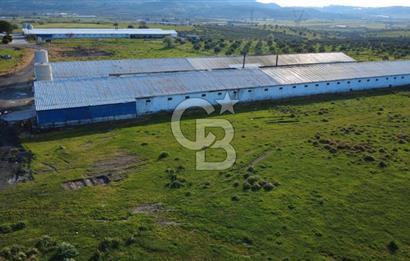 GÜZELHİSARDA 454m2 SATILIK TARLA