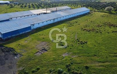 GÜZELHİSARDA 454m2 SATILIK TARLA
