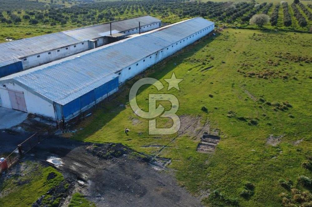 GÜZELHİSARDA 454m2 SATILIK TARLA