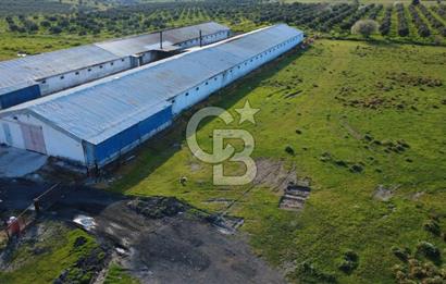 GÜZELHİSARDA 454m2 SATILIK TARLA