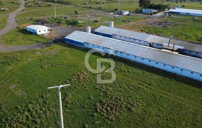 GÜZELHİSARDA 454m2 SATILIK TARLA