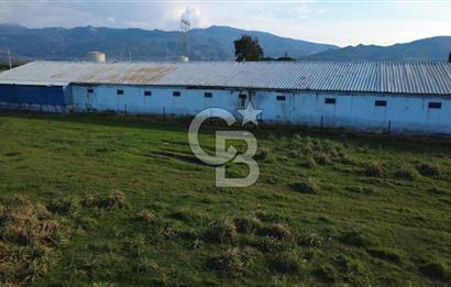 GÜZELHİSARDA 454m2 SATILIK TARLA