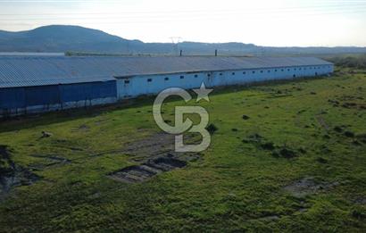 GÜZELHİSARDA 454m2 SATILIK TARLA