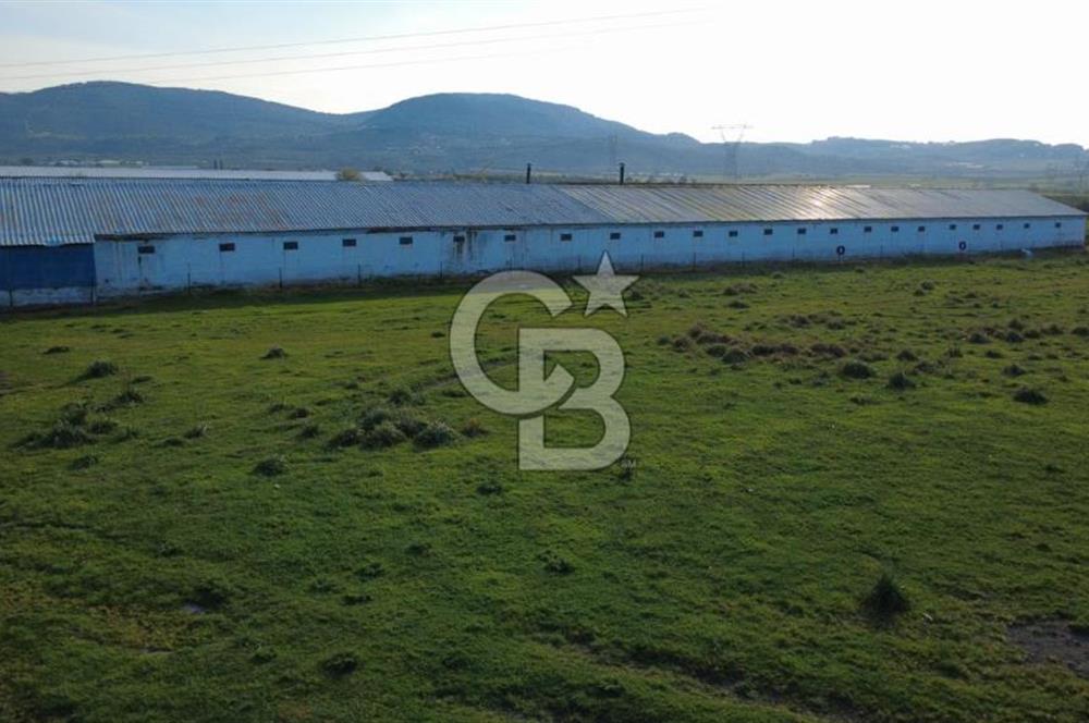 GÜZELHİSARDA 454m2 SATILIK TARLA