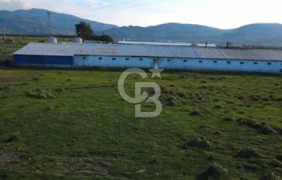 GÜZELHİSARDA 454m2 SATILIK TARLA