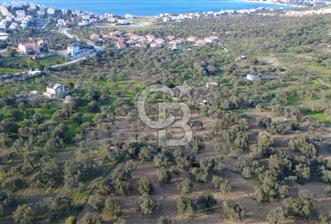 AŞAĞIŞAKRANDA UYGULAMA İÇERİSİNDE İMARA AÇILACAK 2400m2 ZEYTİNLİ - 8 - 340463