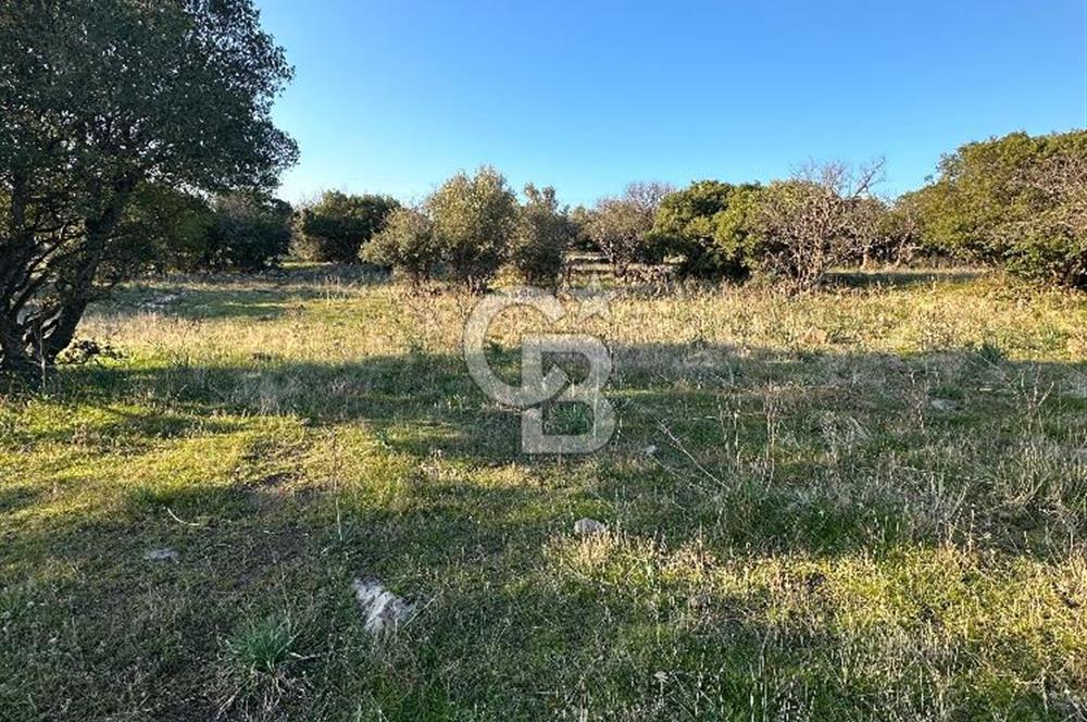 ALİAĞA HACIÖMERLİDE MÜSTAKİL TAPULU SATILIK YATIRIMA UYGUN TARLA