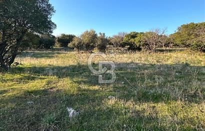 ALİAĞA HACIÖMERLİDE MÜSTAKİL TAPULU SATILIK YATIRIMA UYGUN TARLA