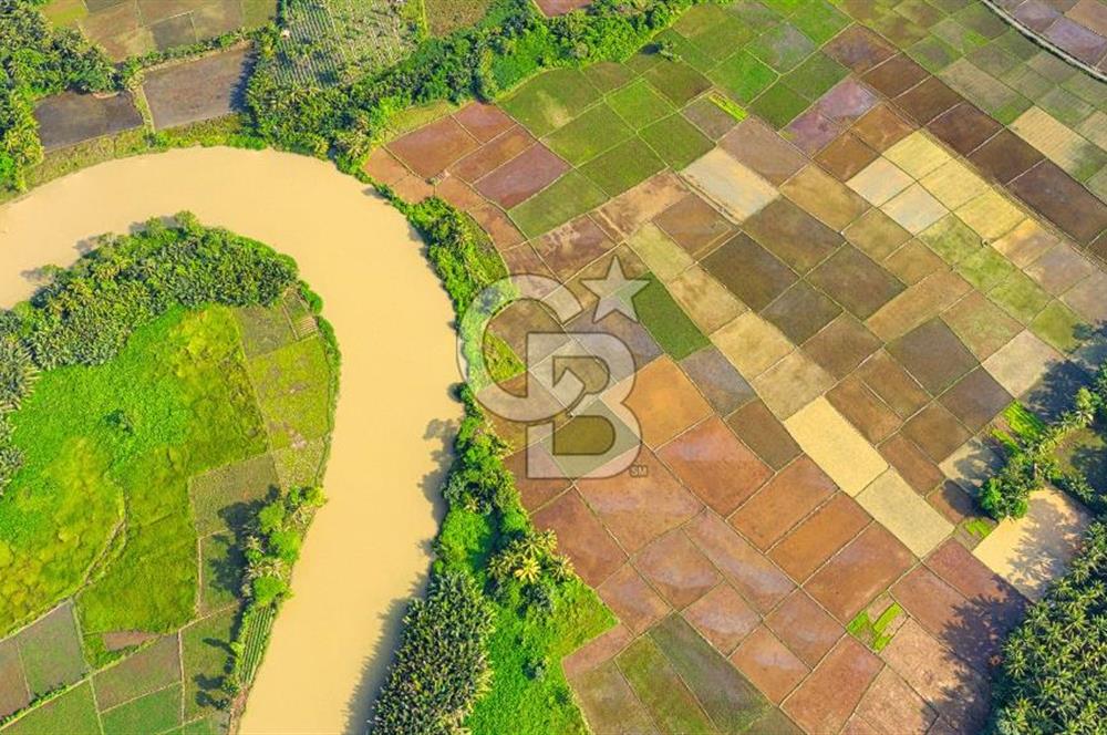 KARACABEY / AKÇASUSURLUK'TA 124 DÖNÜM SATILIK ARAZİ