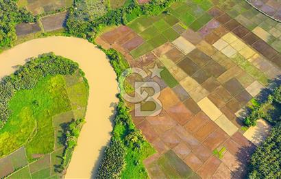 KARACABEY / AKÇASUSURLUK'TA 124 DÖNÜM SATILIK ARAZİ