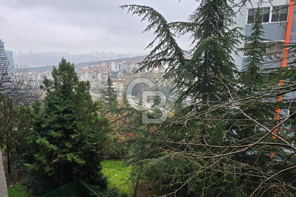 KOZA SOKAKTA, 2+1, KİRALIK DAİRE