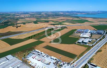 Çatalca Ferhatpaşada Ticaret  Depolama İmarlı 4.563 m² Arsa