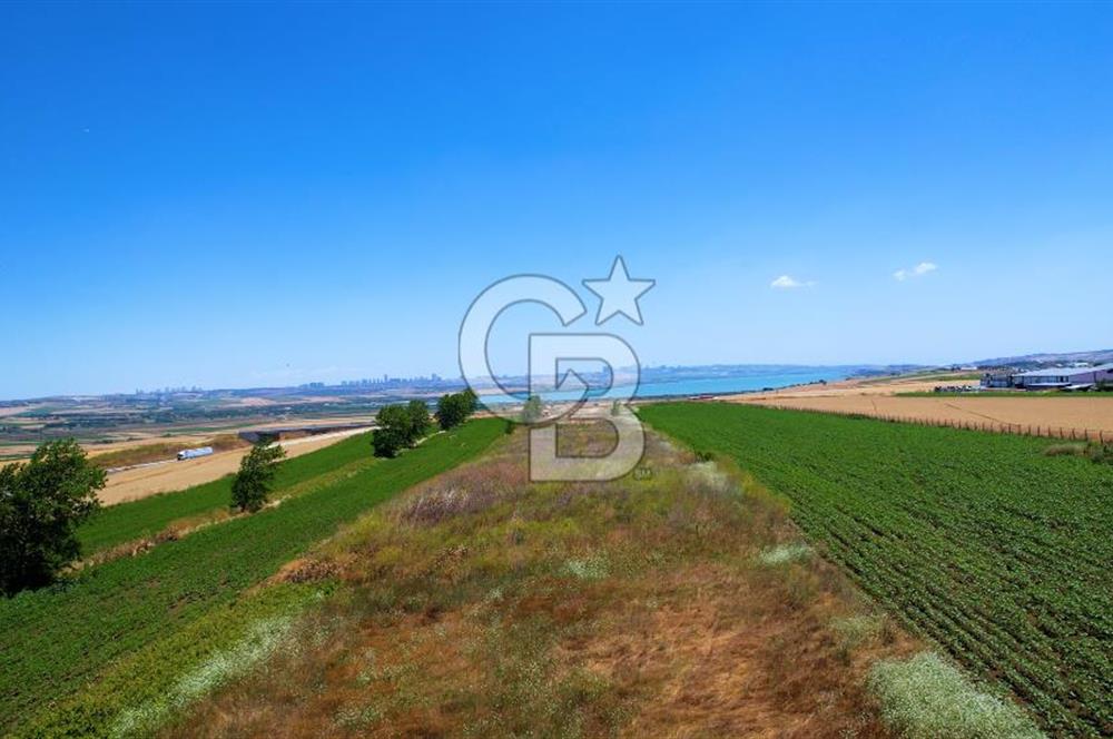 Çatalca Ferhatpaşada Ticaret  Depolama İmarlı 4.563 m² Arsa