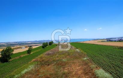 Çatalca Ferhatpaşada Ticaret  Depolama İmarlı 4.563 m² Arsa