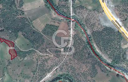 Balıkesir Dursunbey Dodurga'da Satılık 3.131 M2 Fırsat Tarla