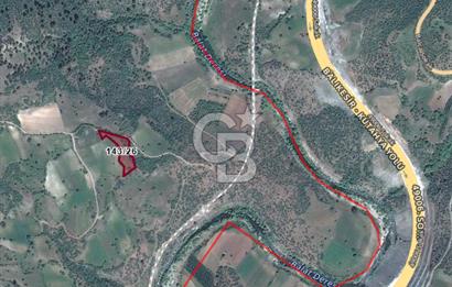 Balıkesir Dursunbey Dodurga'da Satılık 3.131 M2 Fırsat Tarla