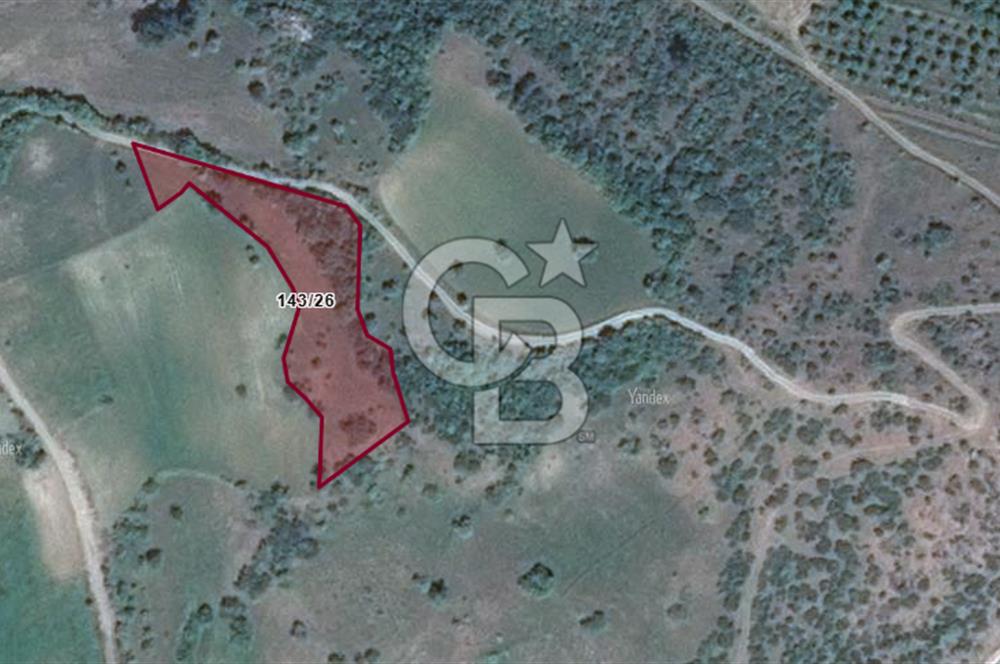 Balıkesir Dursunbey Dodurga'da Satılık 3.131 M2 Fırsat Tarla