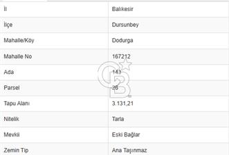Balıkesir Dursunbey Dodurga'da Satılık 3.131 M2 Fırsat Tarla - 1 - 340564