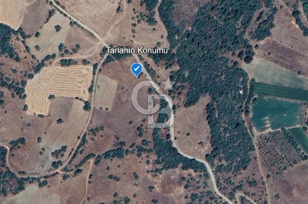 Balıkesir Dursunbey Dodurga'da Satılık 3.131 M2 Fırsat Tarla