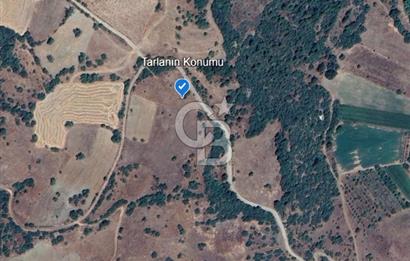 Balıkesir Dursunbey Dodurga'da Satılık 3.131 M2 Fırsat Tarla