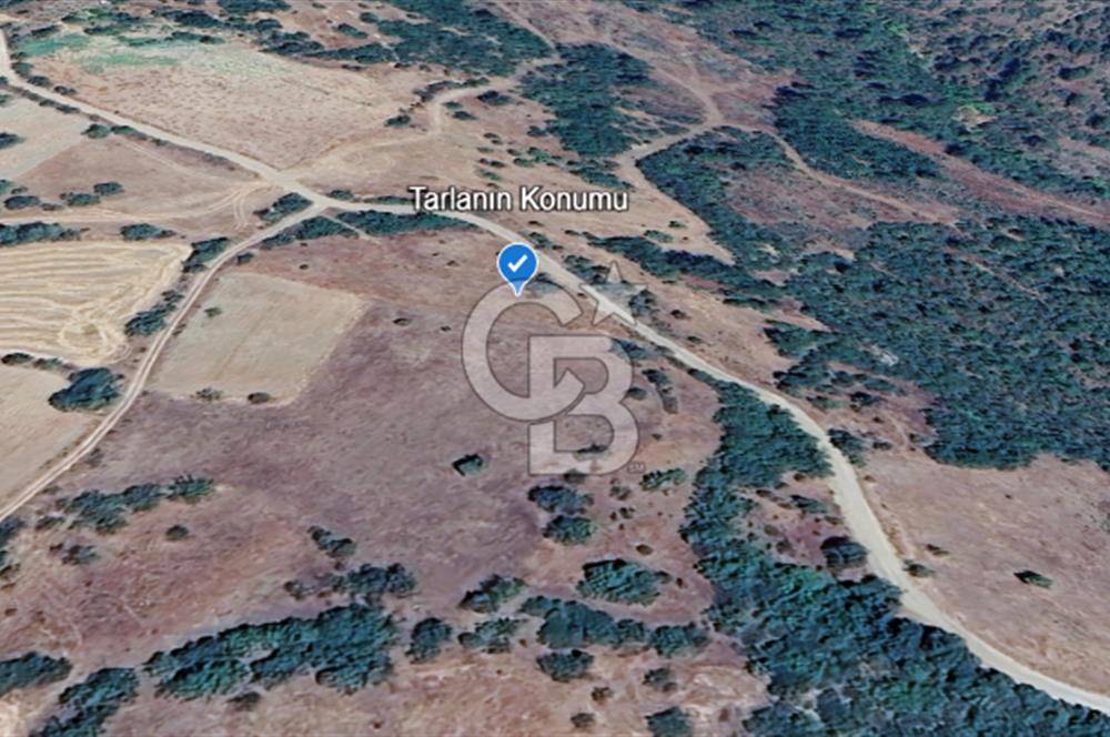 Balıkesir Dursunbey Dodurga'da Satılık 3.131 M2 Fırsat Tarla