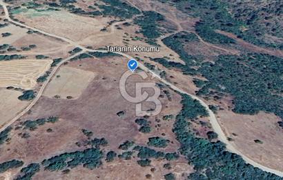 Balıkesir Dursunbey Dodurga'da Satılık 3.131 M2 Fırsat Tarla