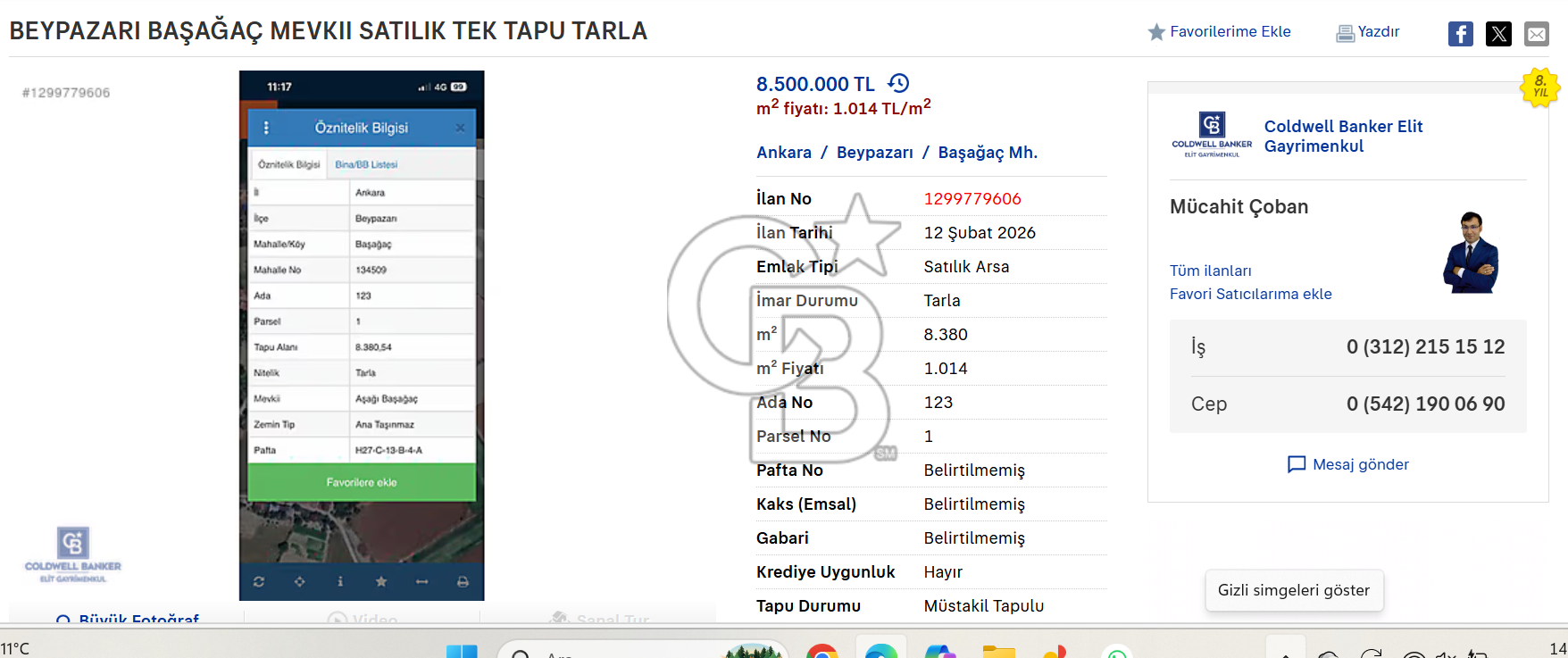 BEYPAZARI BAŞAĞAÇ MEVKII SATILIK TEK TAPU TARLA
