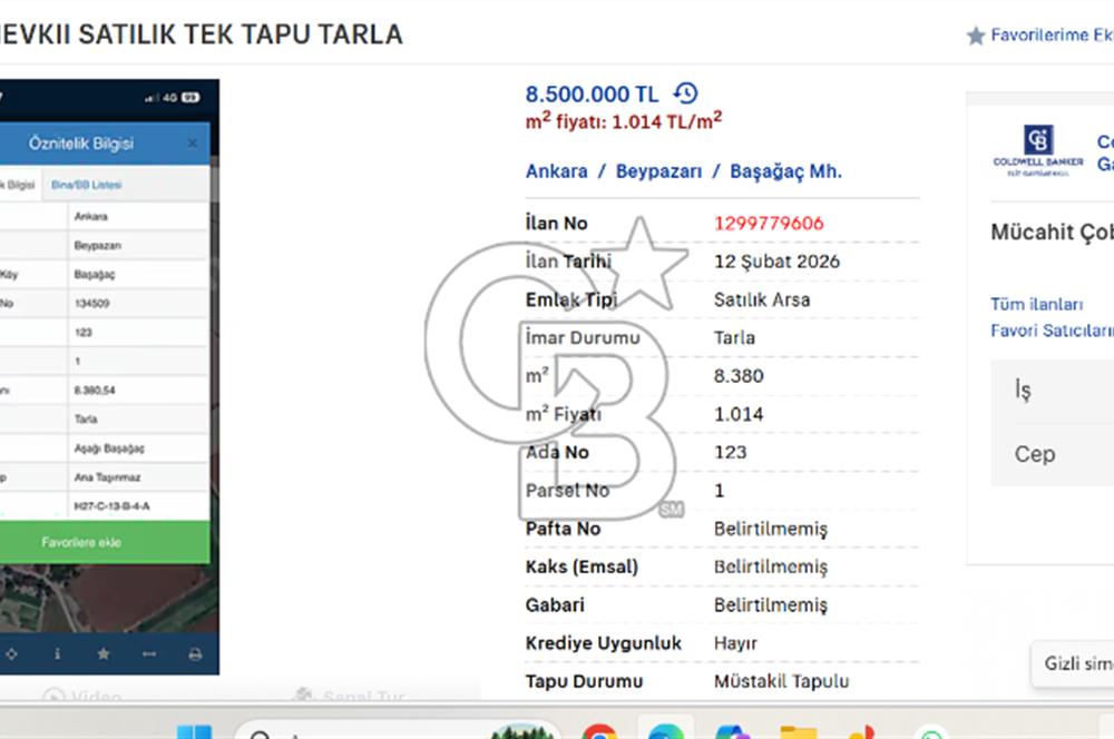 BEYPAZARI BAŞAĞAÇ MEVKII SATILIK TEK TAPU TARLA