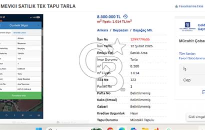 BEYPAZARI BAŞAĞAÇ MEVKII SATILIK TEK TAPU TARLA