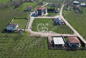 HENDEK BÜYÜKDERENİN EN GÜZEL KONUMUNDA VİLLA ARSASI - 1 - 340565