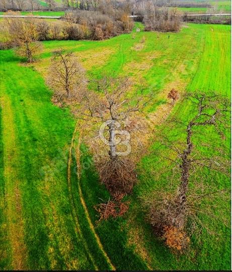 ANA YOLA CEPHE 9.843 m² | BAĞ EVİ YAPILABİLİR | SULAMA SORUNSUZ
