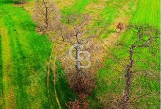 ANA YOLA CEPHE 9.843 m² | BAĞ EVİ YAPILABİLİR | SULAMA SORUNSUZ - 1 - 340577