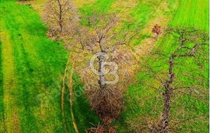 ANA YOLA CEPHE 9.843 m² | BAĞ EVİ YAPILABİLİR | SULAMA SORUNSUZ