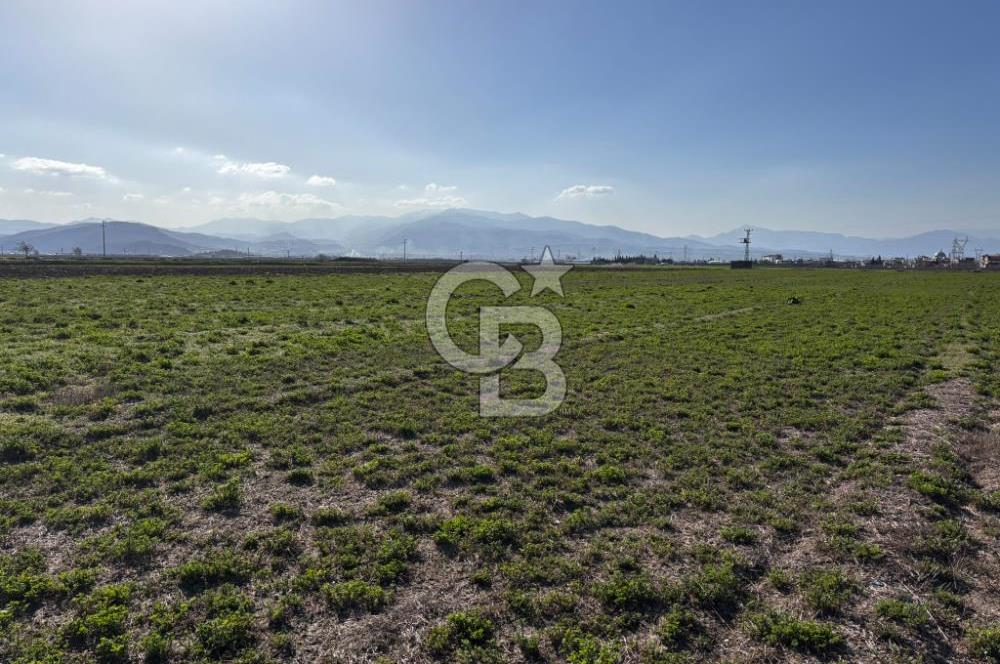 CB'DEN TEK TAPU KENTSEL SERVİS ALAN İMARLI SATILIK TİCARİ ARSA