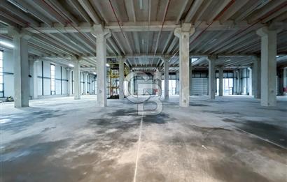 Kapaklı Sanayi Bölgesinde 5.500 m² Kiralık Depo & Lojistik Alan