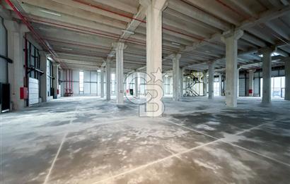 Kapaklı Sanayi Bölgesinde 5.500 m² Kiralık Depo & Lojistik Alan
