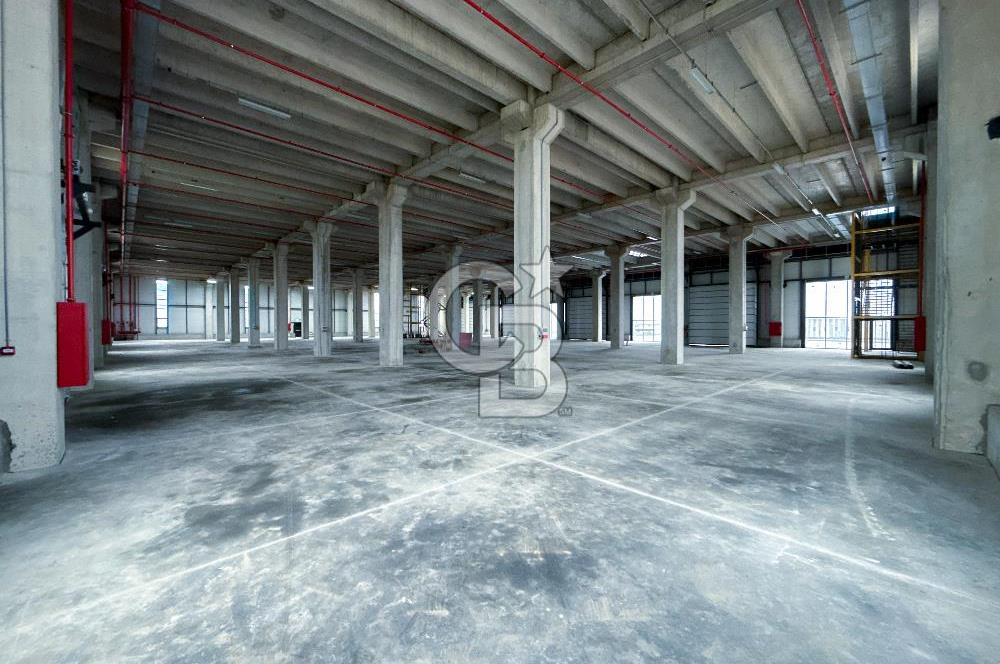 Kapaklı Sanayi Bölgesinde 5.500 m² Kiralık Depo & Lojistik Alan