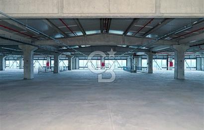 Kapaklı Sanayi Bölgesinde 5.500 m² Kiralık Depo & Lojistik Alan