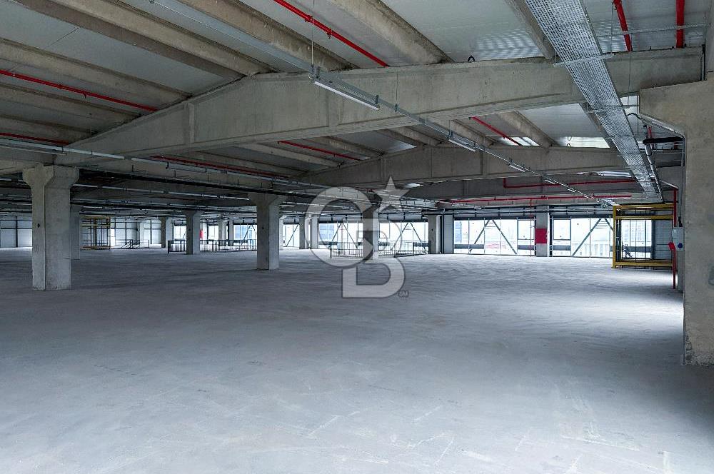 Kapaklı Sanayi Bölgesinde 5.500 m² Kiralık Depo & Lojistik Alan