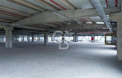 Kapaklı Sanayi Bölgesinde 5.500 m² Kiralık Depo & Lojistik Alan